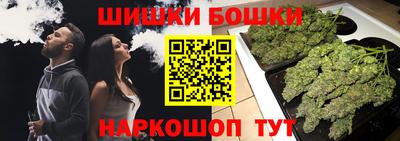 индика Старая Купавна