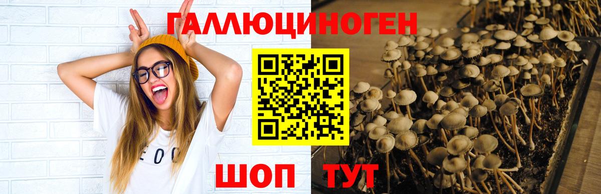 Галлюциногенные грибы Magic Shrooms Уссурийск