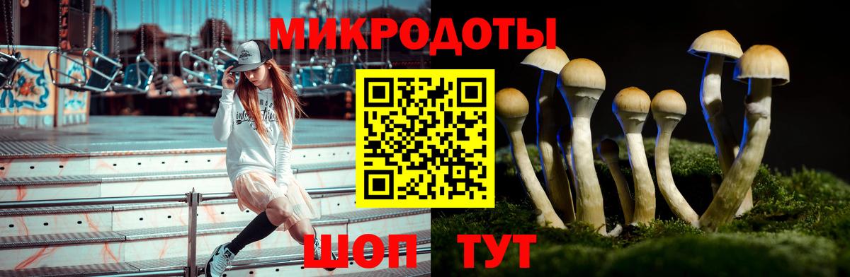 Уссурийск  Галлюциногенные грибы прущие грибы  Галлюциногенные грибы Magic Shrooms  Вход с VPN 